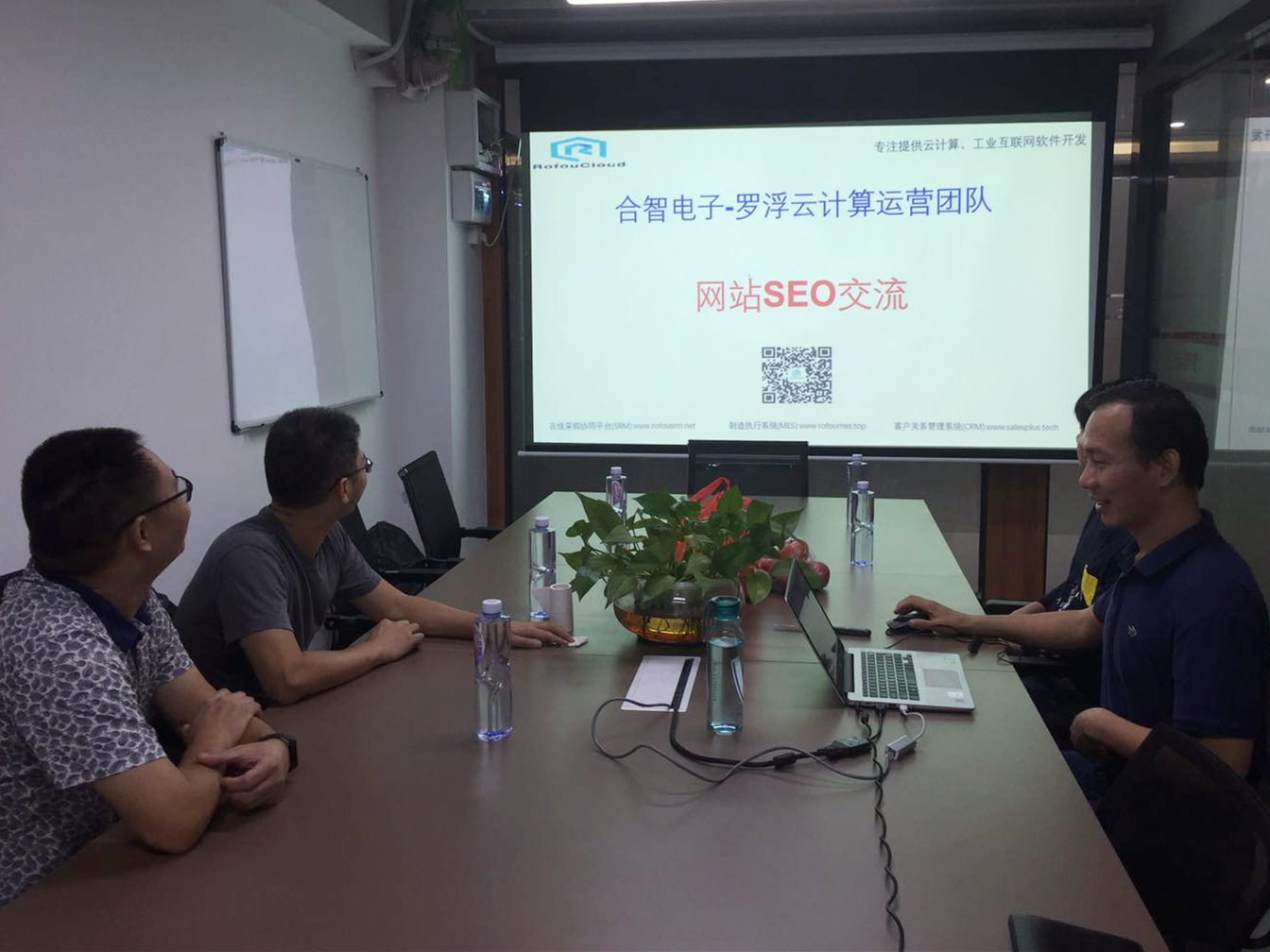羅浮云計(jì)算丨SEO技術(shù)交流會分享